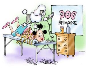 efffaddbdbb
